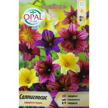 Image 1 of Opal Zi Салпиглосис микс Salpiglossis sinuata