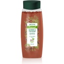 Aroma Šampón proti vypadávaniu vlasov Chinín & kofeín 400 ml