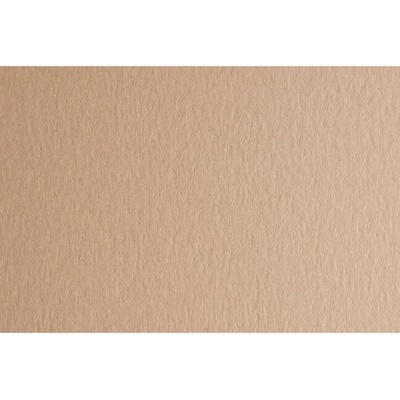 Fabriano Картон Colore, 70 x 100 cm, 200 g/m2, № 221, бежов (42303221/100_PANNA)