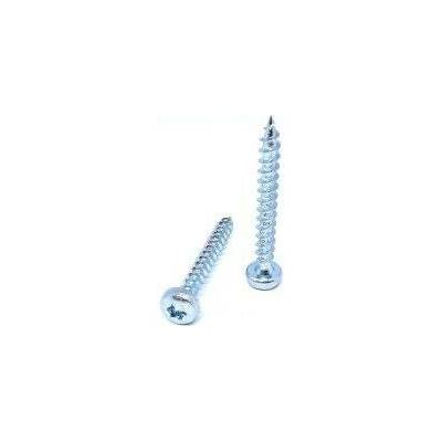 Vrut s půlkulatou hlavou, TORX drážka, zinek bílý 5 x 80, balení 200 ks