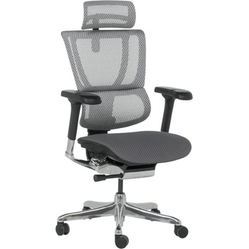 Image 1 of Ергономичен стол ergohuman ioo elite 2 - черна рамка - сив (b3520668)