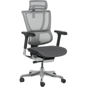  Ергономичен стол ergohuman ioo elite 2 - черна рамка - сив (b3520668)