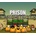 Prison Architect Jungle Pack