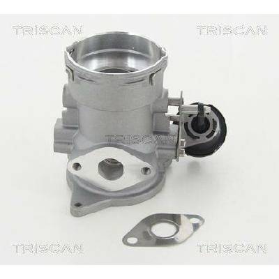 AGR-Ventil TRISCAN 8813 29056 (881329056)