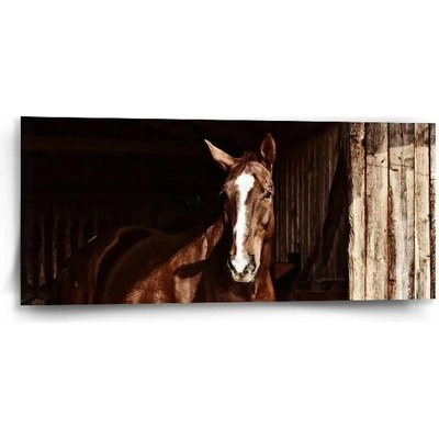Sablio Obraz Kůň ve stáji - 110x50 cm