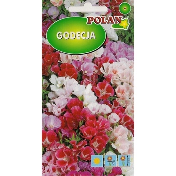 Polan GODECJA semená VEĽKOKVETÁ ZMES 1 G