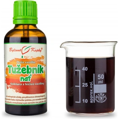 Bylinné kapky Túžobník kvitnúce vňať kvapky Duša rastlín tinktúra 50 ml