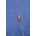 Ralph Lauren Памучна тениска с яка Polo Ralph Lauren (710713130)