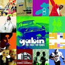First Ten Years - Gabin CD