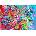 Enjoy - Puzzle Euphoric Depths - 1 000 piese