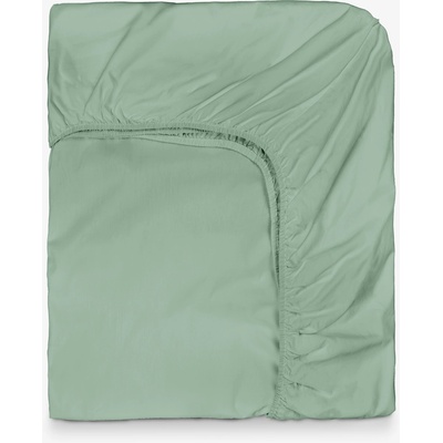 Дилиос Цветен чаршаф с ластик за матрак 200/200/30 см НЮАНСИ Зелен, 100% памук ранфорс