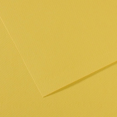 Canson Mi-Teintes 50x65 cm Anis 107 160 g Цветна хартия (C200321704)