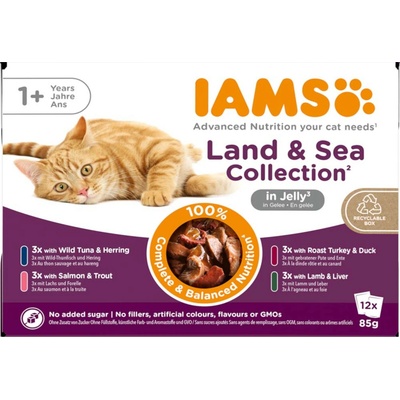 IAMS Advanced Nutrition Adult Land & Sea Mix 24 x 85 g v želé