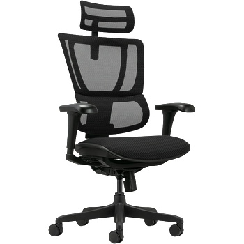 Image 1 of Ergohuman Ергономичен стол ergohuman ioo budget 2 - черна рамка - черен