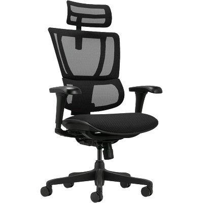 Ergohuman Ергономичен стол ergohuman ioo budget 2 - черна рамка - черен