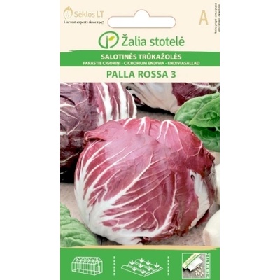 Seklos Италианска Цикория тип глава Palla Rossa 3