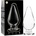IBIZA Nebula Model 4 Anal Plug Borosilicate Glass 11x5cm Clear