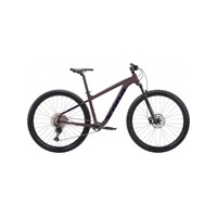 Bicykle