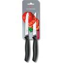 Victorinox SwissClassic 6.7833.B