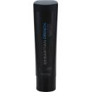 Sebastian Hydre Moisturizing Shampoo 250 ml