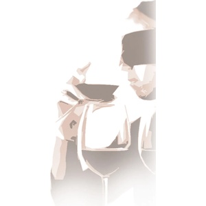 Vin bouquet (Испания) Сет за тест на сляпо Vin Bouquet (VB FIA 036)
