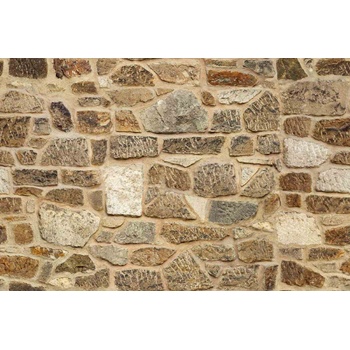 DIMEX ART Флизелинов фототапет кафява каменна стена 375 x 250 см