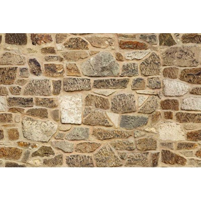 DIMEX ART Флизелинов фототапет кафява каменна стена 375 x 250 см