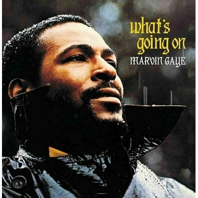 Marvin Gaye - What's Going On (Anniversary Edition) (180 g) (2 LP) (602435584171)