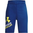 Under Armour Prototype 2.0 logo shorts