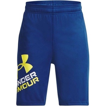 Under Armour Prototype 2.0 logo shorts