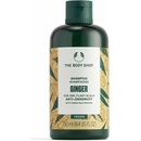 The Body Shop Ginger šampon pro suché vlasy a citlivou pokožku hlavy 250 ml