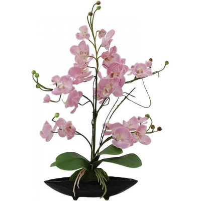 Orchidej aranžmá s květináči, růžová, 60 cm.