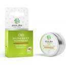 Green idea Green idea CBD balzám na rty 15 ml