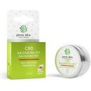 Topvet Green Idea CBD balzám na rty 15 ml