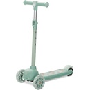 Lorelli Jetster (3800166119496)