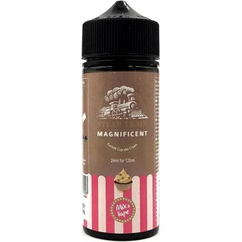 Steam Train Magnificent 24/120ml