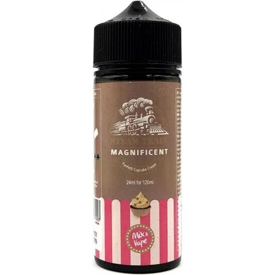 Steam Train Magnificent 24/120ml