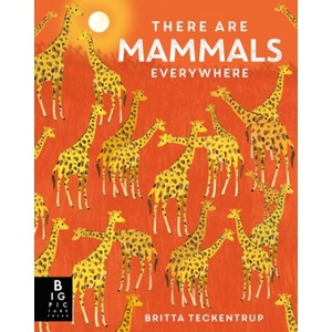 There are Mammals Everywhere | Britta Teckentrup (ISBN: 9781800787346)