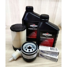 Briggs & Stratton SAE 30 1,4 l