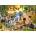 Castorland - Puzzle The Ark - 300 piese