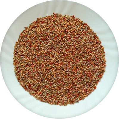 Avicentra Classic Menu Drobný Exot 4kg