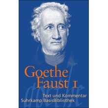 Faust Goethe Johann WolfgangPaperback