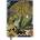 Galison Christian Lacroix Retour En Phenicie A6 Layflat Notebook | Christian LaCroix, Galison