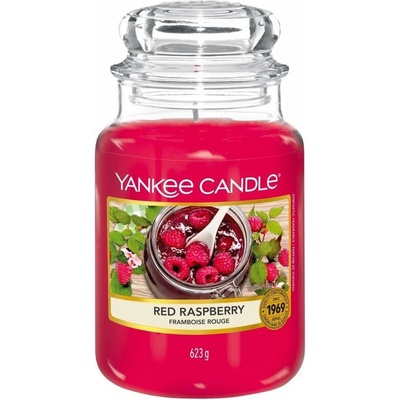 Yankee Candle Classic Red Raspberry 623 g – Zboží Mobilmania