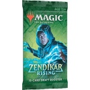 Wizards of the Coast Magic the Gathering Zendikar Rising Set Booster