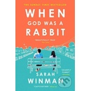 When God was a Rabbit