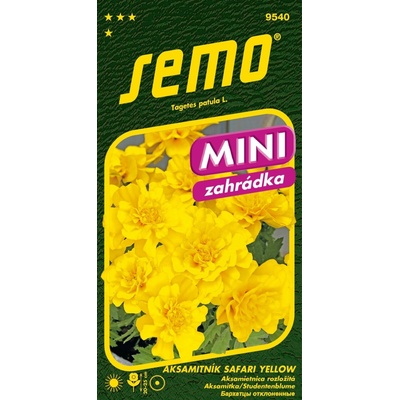 Semo Aksamitník rozkladitý Safari Yellow 30 s