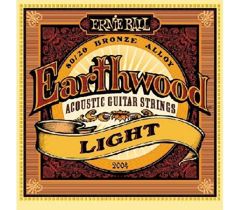 Ernie Ball 2004