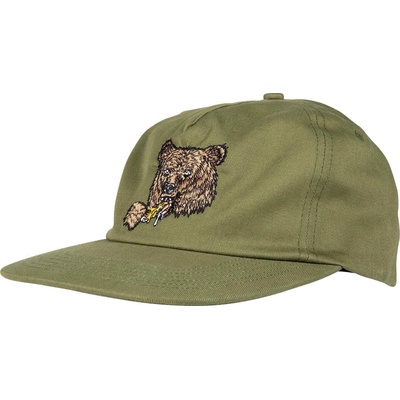 Santa Cruz Braun Great Outdoors Snapback Iguana