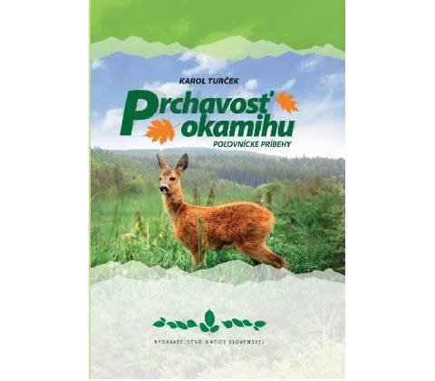 Prchavosť okamihu